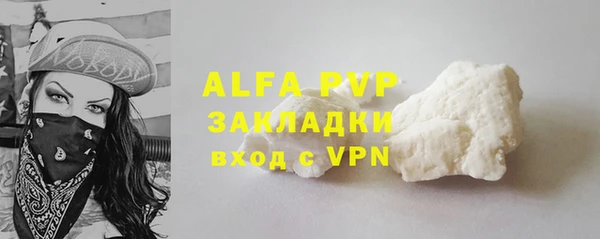 стафф Алексин