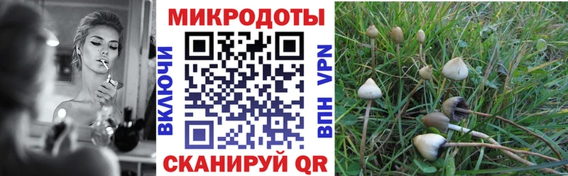 Галлюциногенные грибы MAGIC MUSHROOMS  ссылка на мегу зеркало  Новоаннинский 